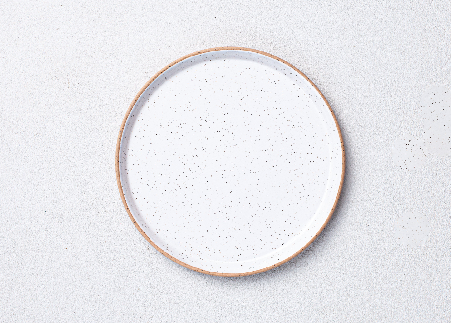Speckled White 10" Dinner Plate