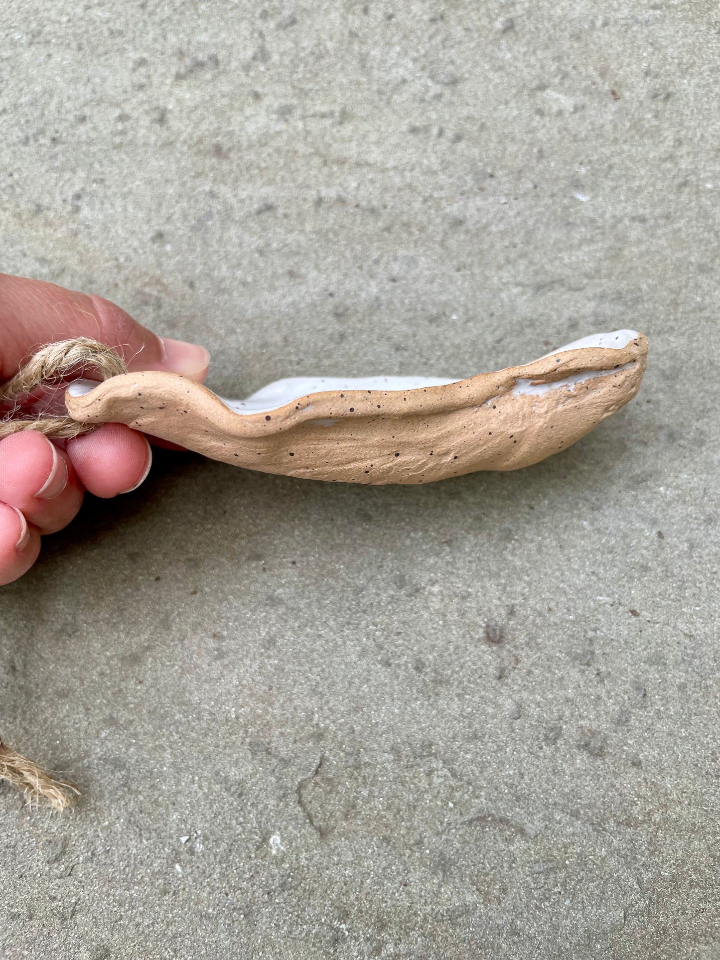 Oyster Shell Ornament
