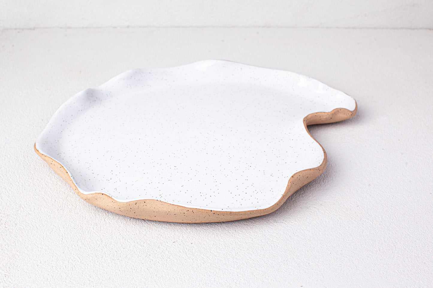 Large Oyster Platter