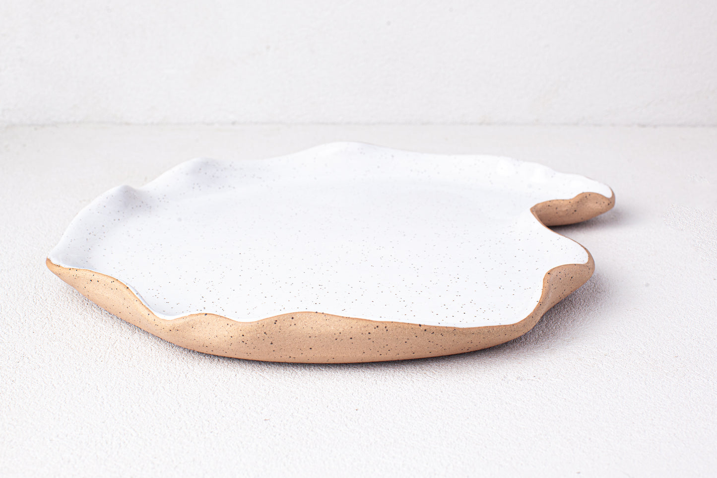 Large Oyster Platter