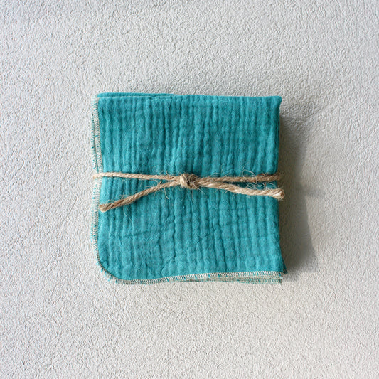 Blue Cotton Cocktail Napkins - set of 4