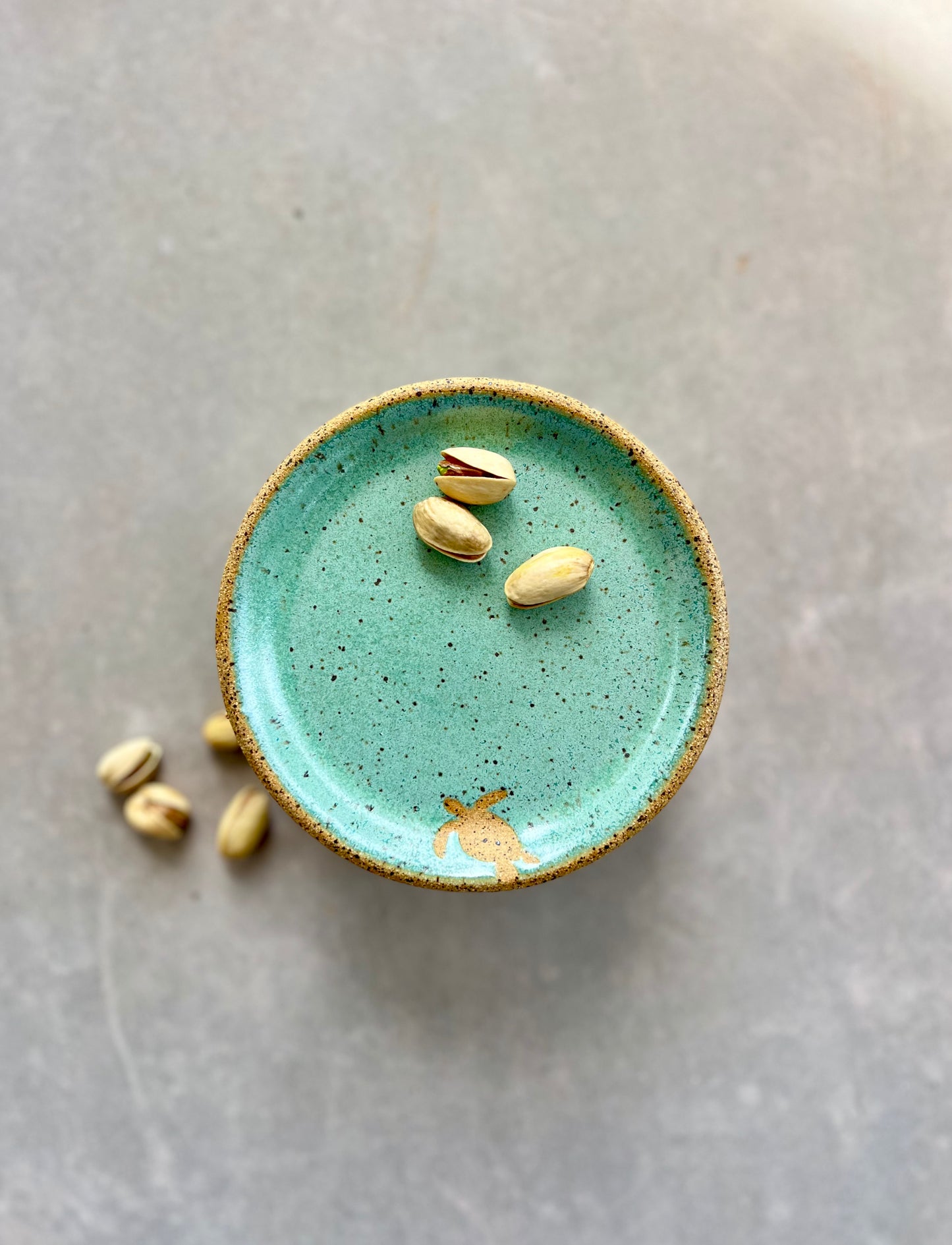 Sea Turtle Petite Plate