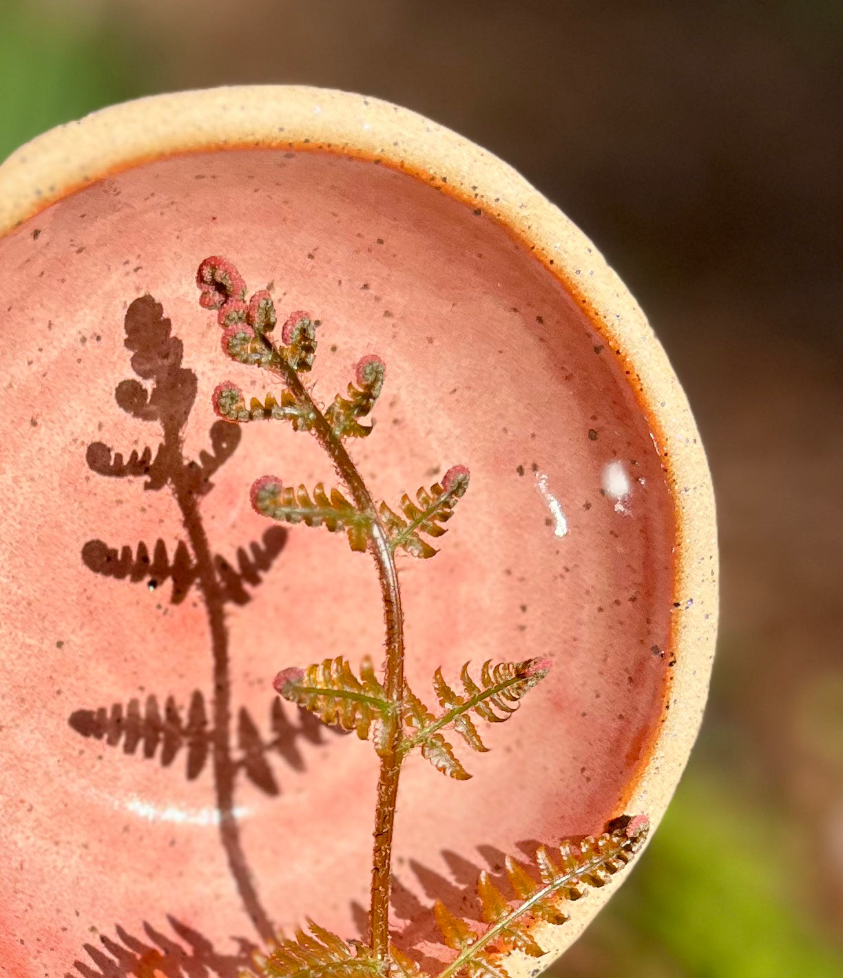 Small Coral Bowl