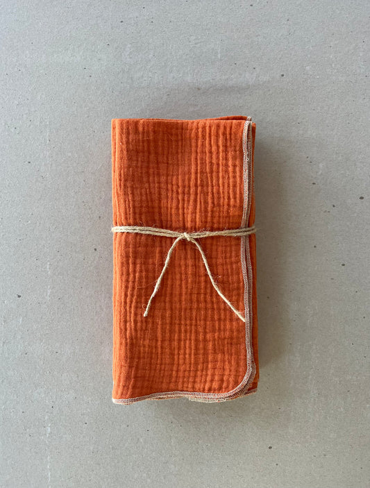 Pumpkin Cotton Napkins - set of 4