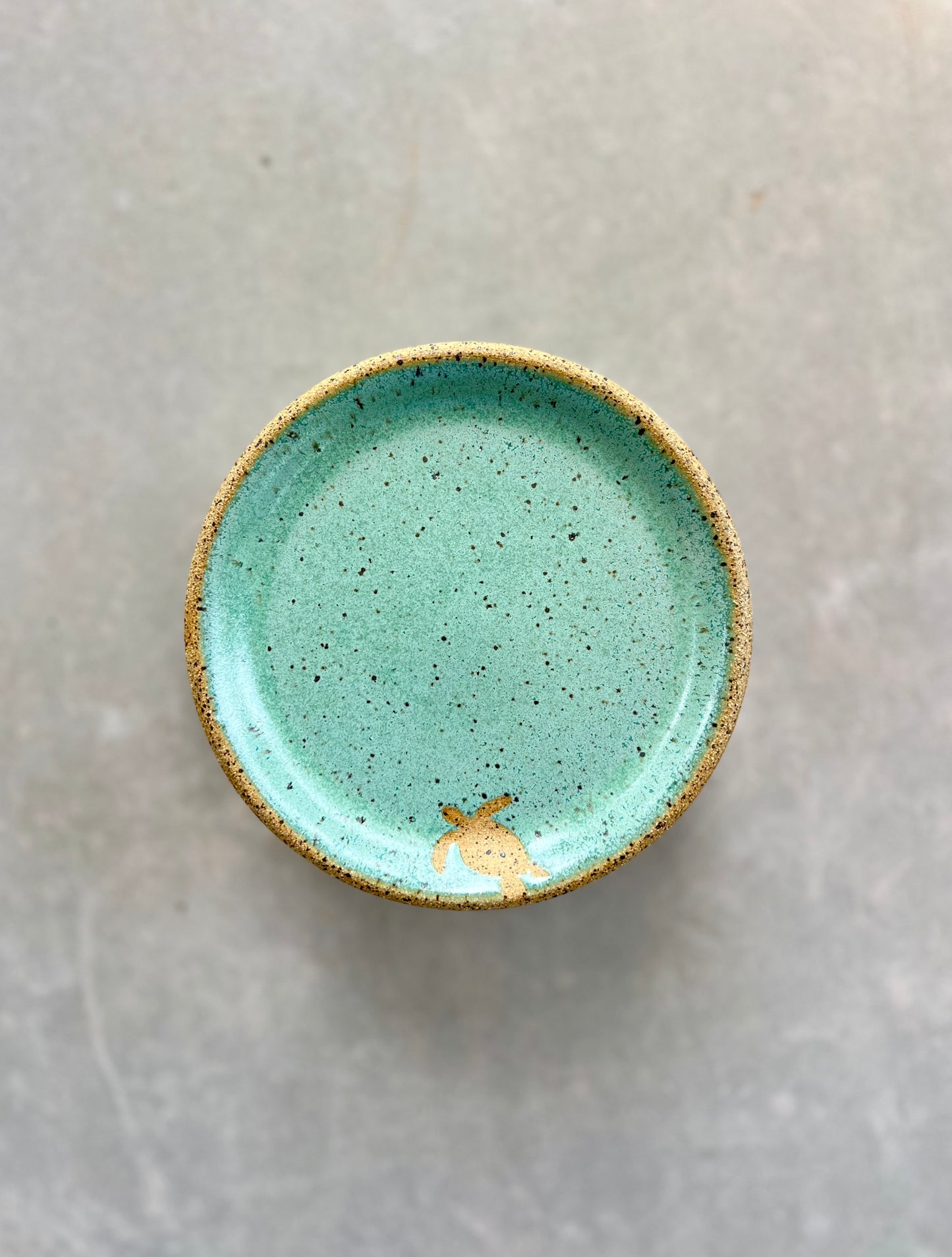 Sea Turtle Petite Plate