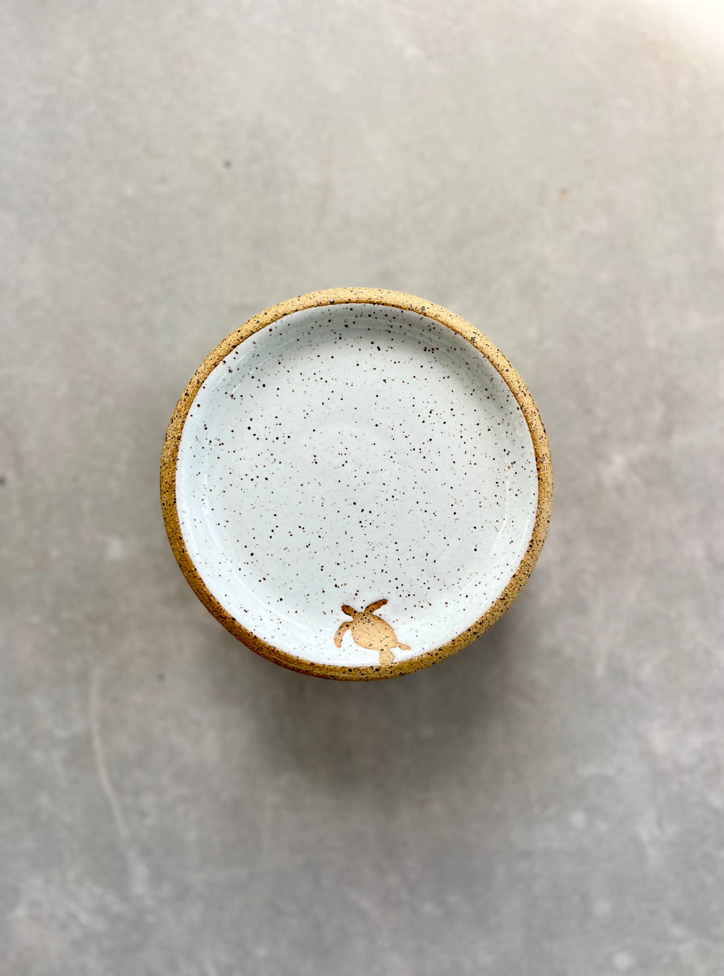 Sea Turtle Petite Plate