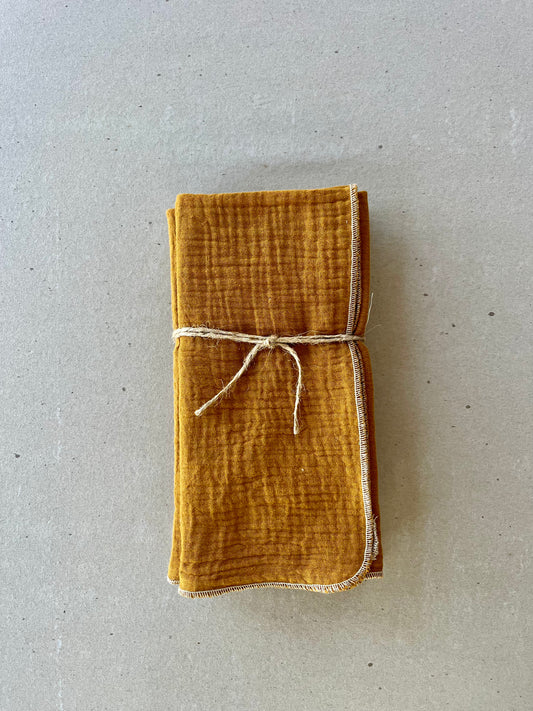 Spice Cotton Napkins - set of 4