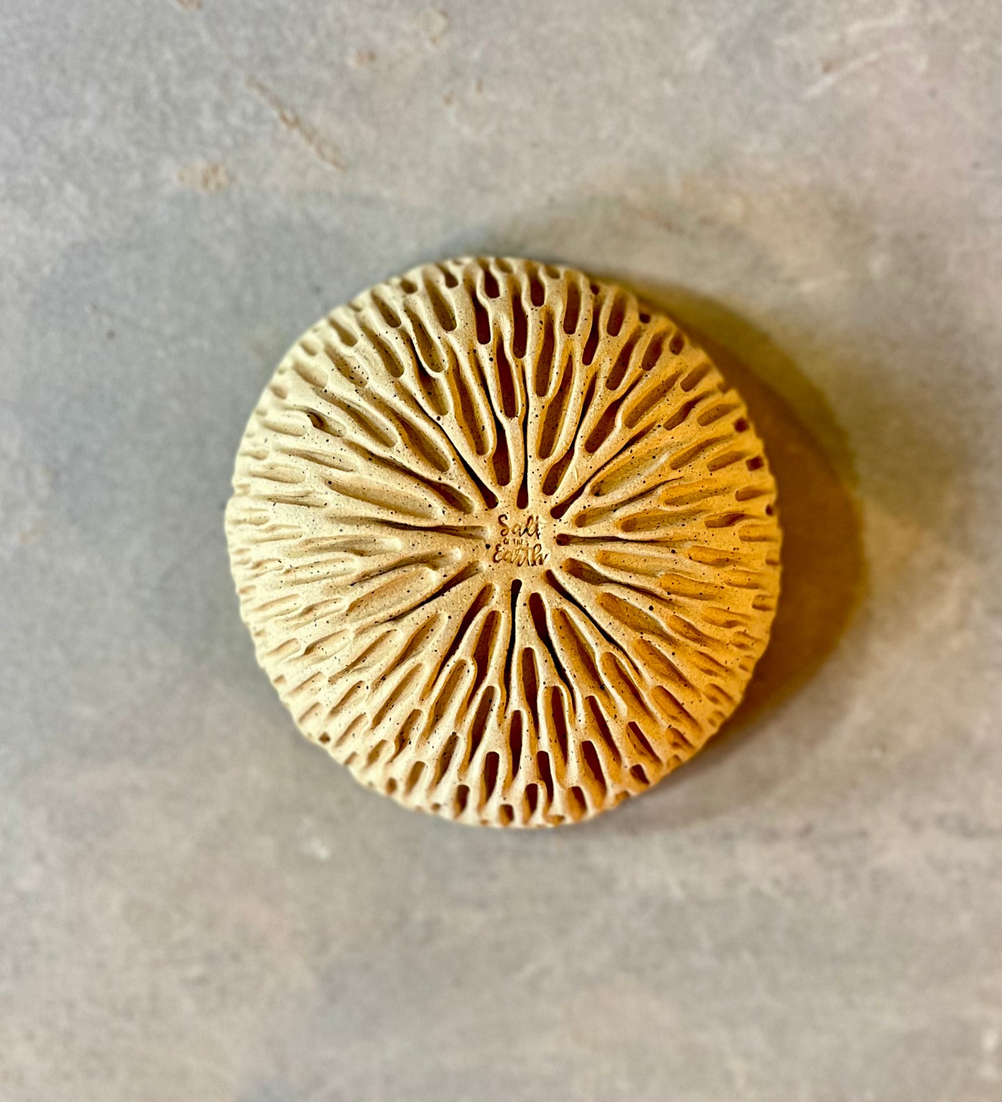 Small Coral Bowl