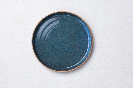 Offshore Blue 10" Dinner Plate